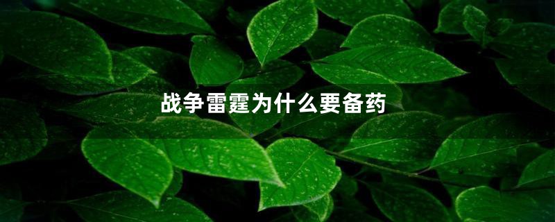 战争雷霆为什么要备药