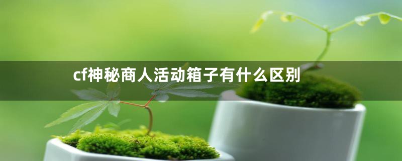 cf神秘商人活动箱子有什么区别