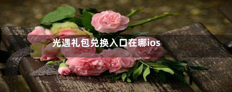 光遇礼包兑换入口在哪ios