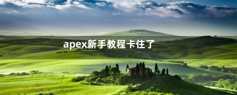 apex新手教程卡住了