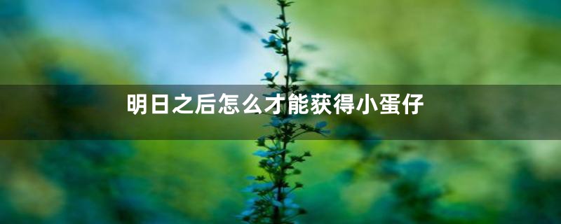 明日之后怎么才能获得小蛋仔