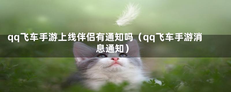 qq飞车手游上线伴侣有通知吗（qq飞车手游消息通知）