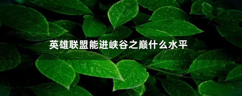 英雄联盟能进峡谷之巅什么水平