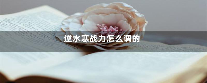 逆水寒战力怎么调的