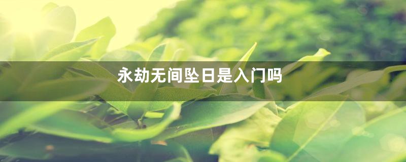 永劫无间坠日是入门吗