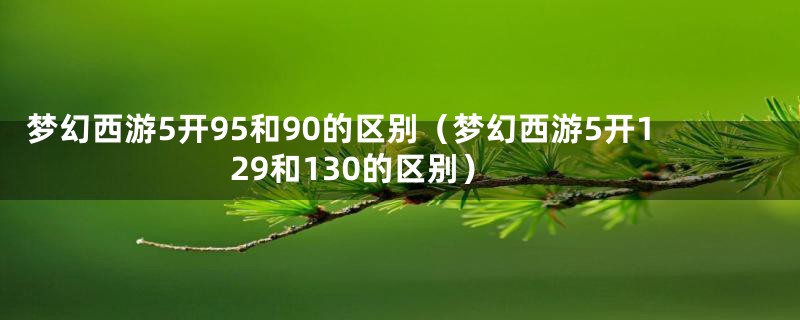 梦幻西游5开95和90的区别（梦幻西游5开129和130的区别）