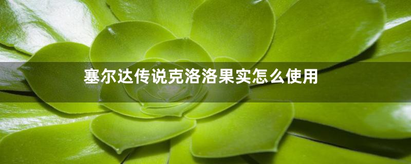 塞尔达传说克洛洛果实怎么使用