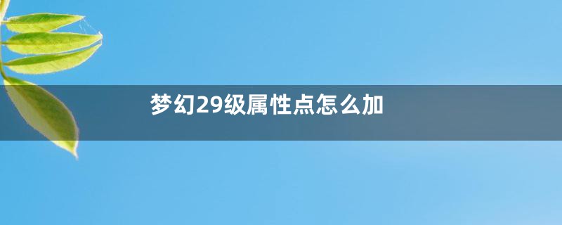 梦幻29级属性点怎么加