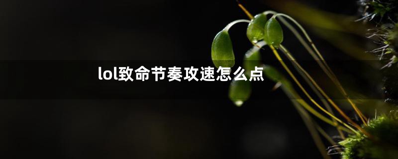 lol致命节奏攻速怎么点