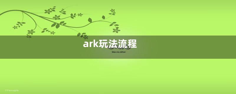 ark玩法流程