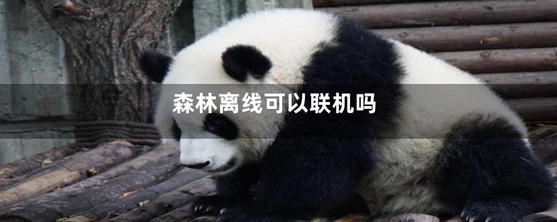 森林离线可以联机吗