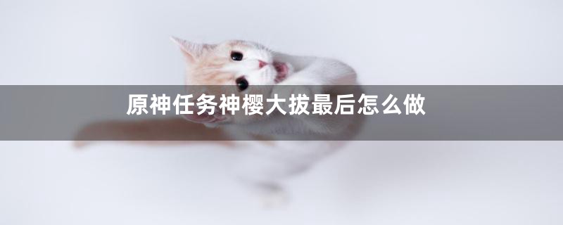 原神任务神樱大拔最后怎么做