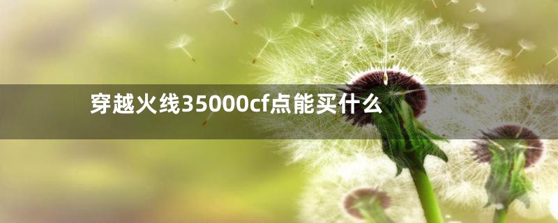 穿越火线35000cf点能买什么