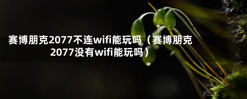 赛博朋克2077不连wifi能玩吗（赛博朋克2077没有wifi能玩吗）