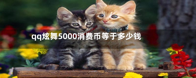 qq炫舞5000消费币等于多少钱