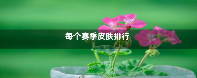 每个赛季皮肤排行