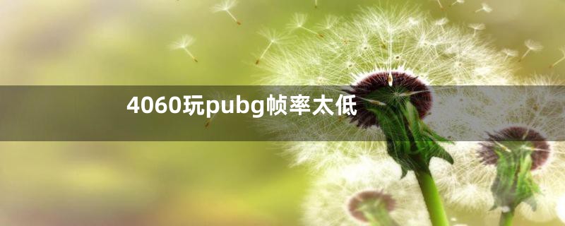 4060玩pubg帧率太低