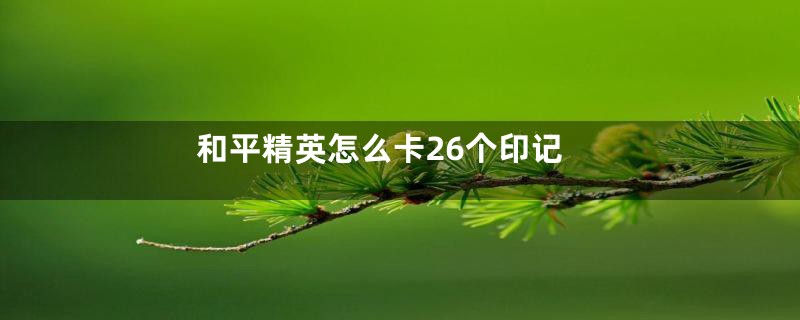 和平精英怎么卡26个印记