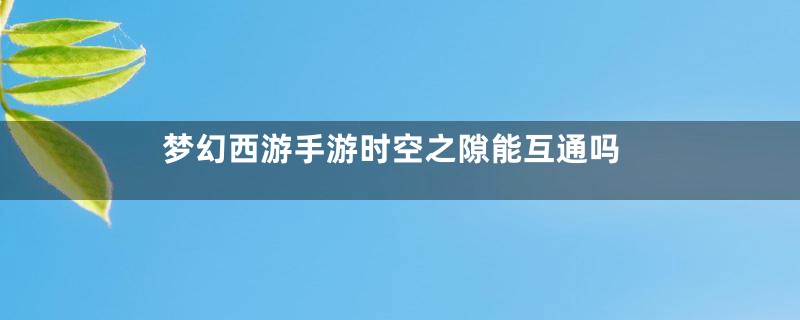 梦幻西游手游时空之隙能互通吗