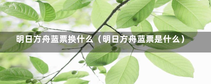 明日方舟蓝票换什么（明日方舟蓝票是什么）