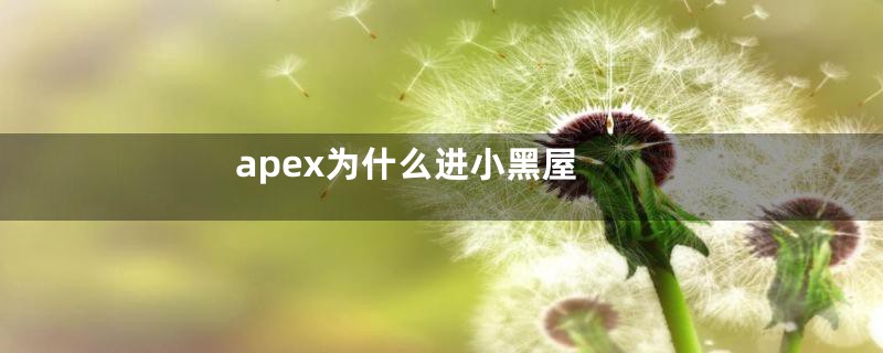 apex为什么进小黑屋