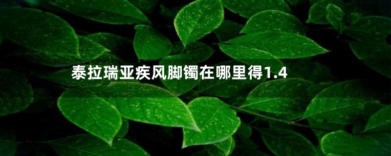 泰拉瑞亚疾风脚镯在哪里得1.4