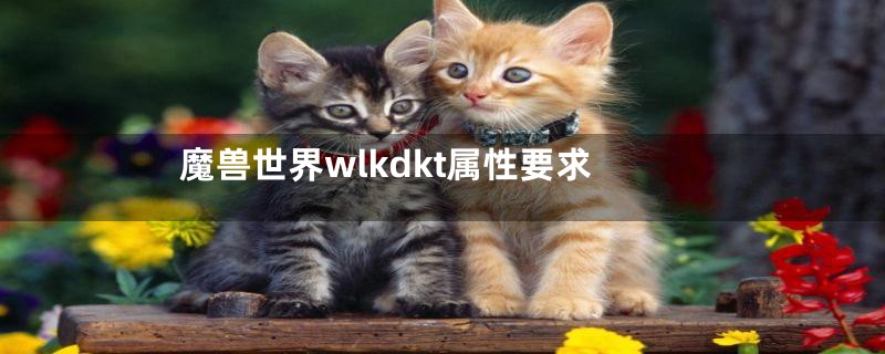 魔兽世界wlkdkt属性要求