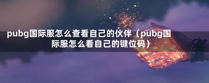 pubg国际服怎么查看自己的伙伴（pubg国际服怎么看自己的键位码）