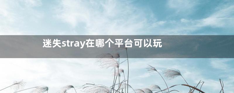 迷失stray在哪个平台可以玩