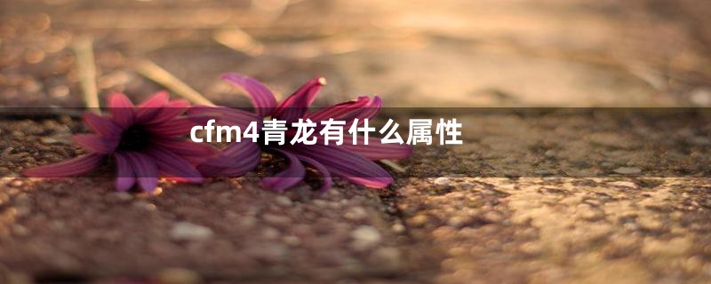 cfm4青龙有什么属性