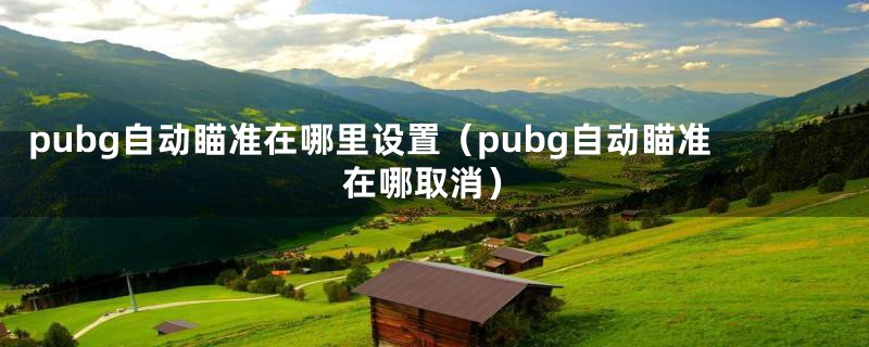 pubg自动瞄准在哪里设置（pubg自动瞄准在哪取消）