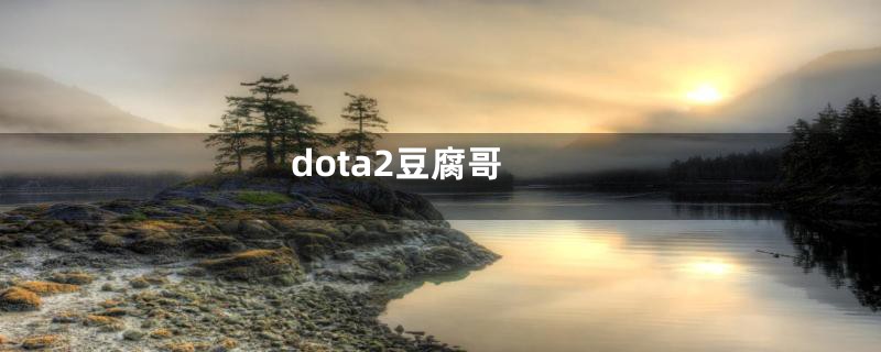 dota2豆腐哥