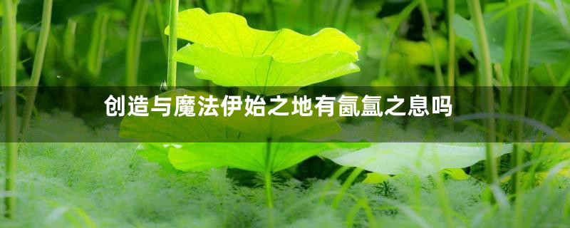 创造与魔法伊始之地有氤氲之息吗