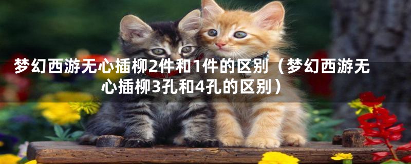 梦幻西游无心插柳2件和1件的区别（梦幻西游无心插柳3孔和4孔的区别）