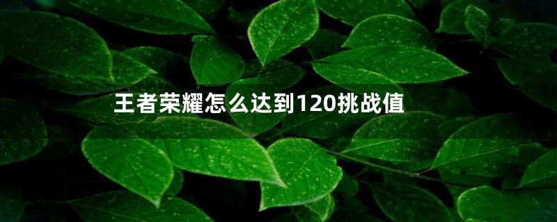 王者荣耀怎么达到120挑战值