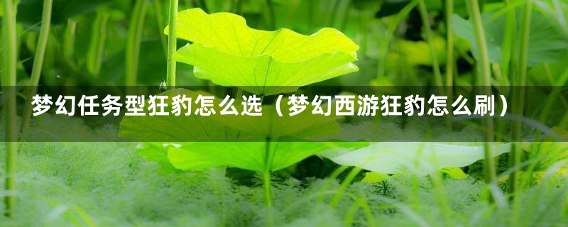 梦幻任务型狂豹怎么选（梦幻西游狂豹怎么刷）