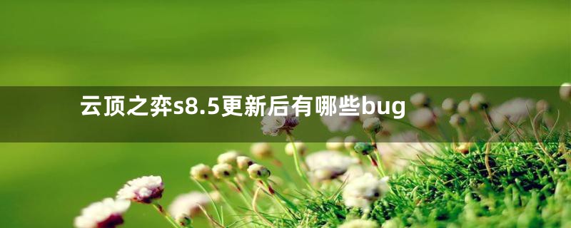 云顶之弈s8.5更新后有哪些bug