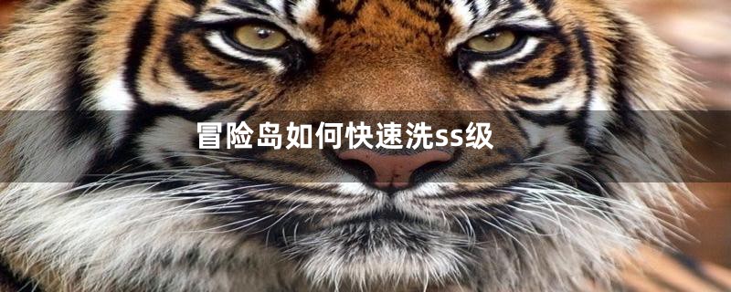 冒险岛如何快速洗ss级