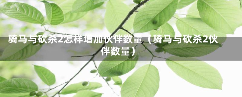 骑马与砍杀2怎样增加伙伴数量（骑马与砍杀2伙伴数量）