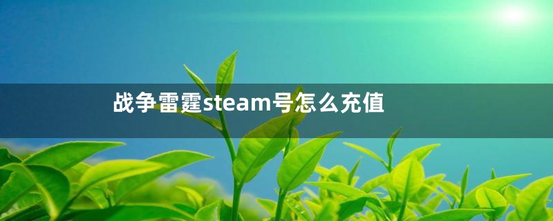 战争雷霆steam号怎么充值