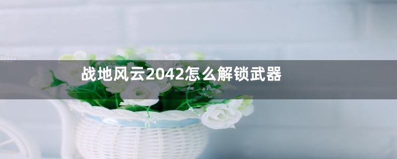 战地风云2042怎么解锁武器