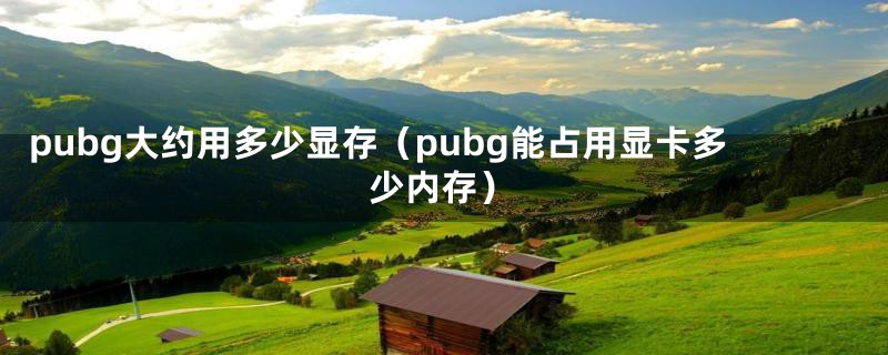 pubg大约用多少显存（pubg能占用显卡多少内存）