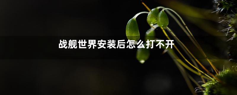 战舰世界安装后怎么打不开