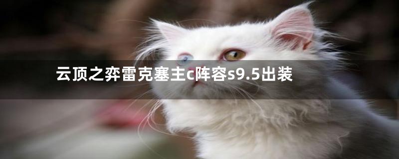 云顶之弈雷克塞主c阵容s9.5出装