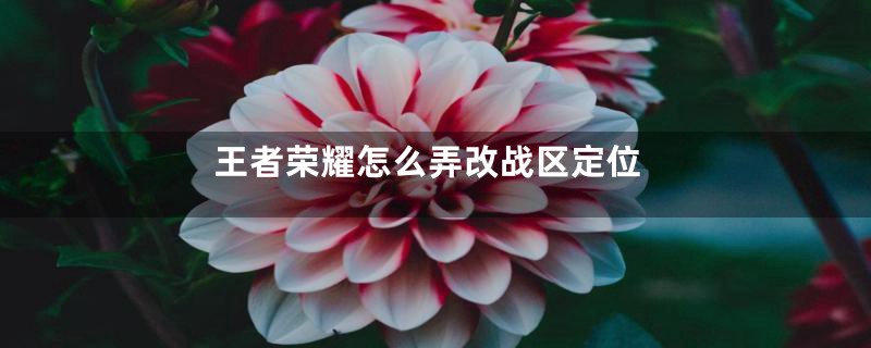 王者荣耀怎么弄改战区定位