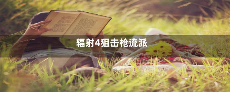 辐射4狙击枪流派