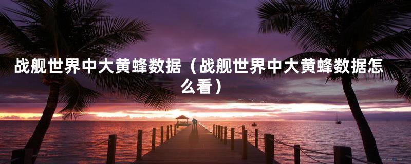 战舰世界中大黄蜂数据（战舰世界中大黄蜂数据怎么看）