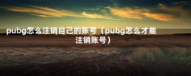 pubg怎么注销自己的账号（pubg怎么才能注销账号）