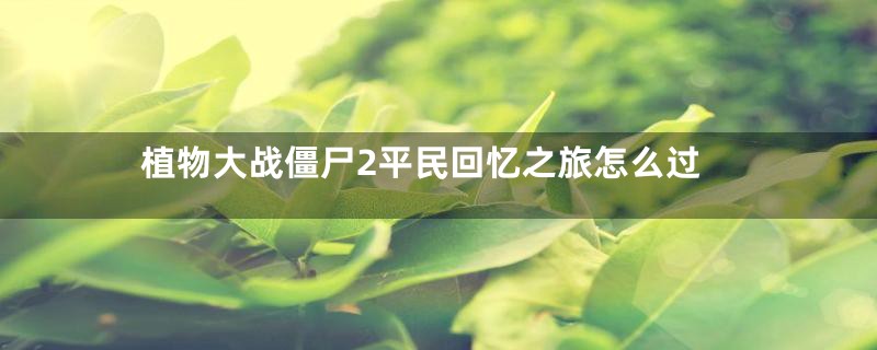 植物大战僵尸2平民回忆之旅怎么过