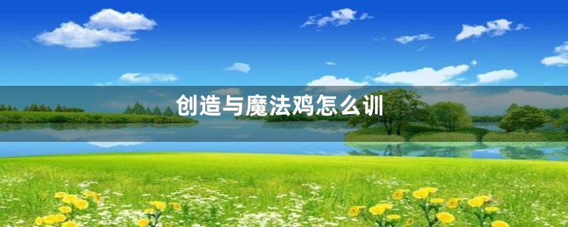 创造与魔法鸡怎么训